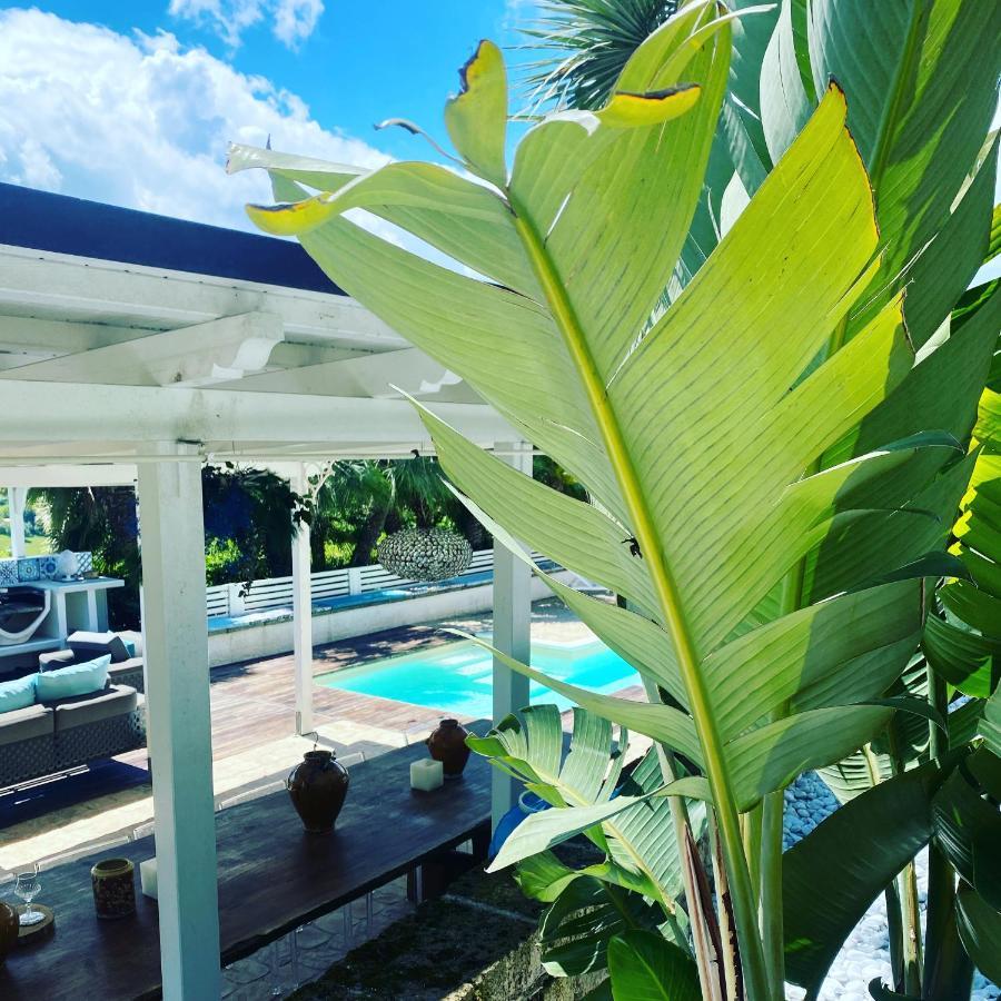 Villa Silvio Civitanova Alta Eksteriør bilde