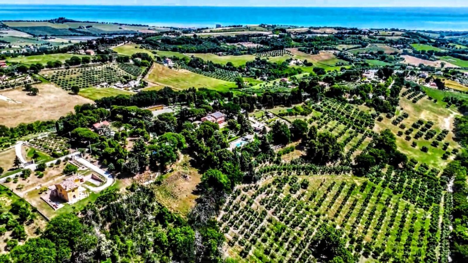 Villa Silvio Civitanova Alta Eksteriør bilde